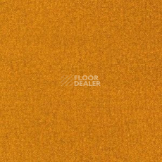 Ковролин Radici Oceania Ambra 2408 фото 1 | FLOORDEALER